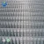 Import Galvanized welded pvc coated security panels anti bird net chicken gopher fence  iron steel wire mesh from China