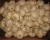 Import Garlic Garlic New Crop With High Quality Chinese Pure White Garlic Wholesale from China