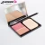 Import Garson Cosmetics Blusher Powder Face Makeup Blush With Mirror Private Label from China
