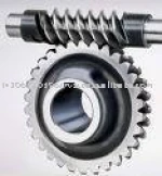 Gear