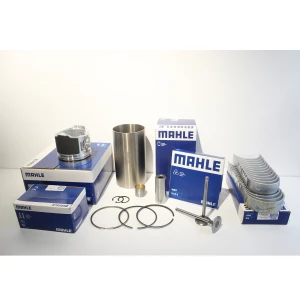 Genuine MAHLE Manufacturer C6.4 Repair Kit With Cylinder Gasket Set Piston Rings Bearing Valves For Excavator