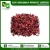 Import GMP Certified Dried Red Rose Flowers Petals from India
