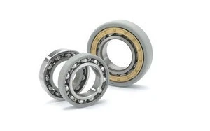 Good quality electrically insulated bearing and low price  INSOCOAT bearing