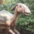 Import Good Quality Life-Size Simulated Artificial Real Size Animatronic T-rex Dinosaur Robot from China