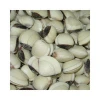 Good Sale Frozen White Clams / Cooked Clam Meat Vietnamese Seafood