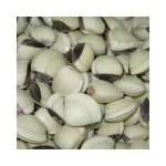 Good Sale Frozen White Clams / Cooked Clam Meat Vietnamese Seafood