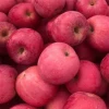 Good taste Chinese fresh apple top quality apple fruit price for export