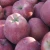 Import Grade 1 Fresh Huaniu Apple price on sale for export from China