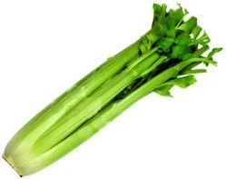 Green Celery