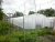 Import Green house  Greenhouse in good quality and favorable price   single tunnel multi span from China