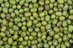 Green Mung Bean yellow mung bean organic green mung bean dried mung bean small green bean fresh green mung bean crop green mung