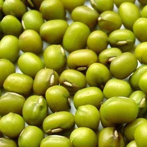 Green Mung Beans /Organic Mung Beans for sale