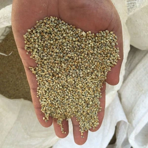 Gujarat Origin Best Quality Green Millet Price/Eco Export