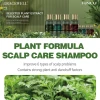 HAILU Hair Shampoo Wholesale Plant Extract Herbal Hair Anti-Dandruff Shampoo Guangzhou Shampoo For Hair Loss