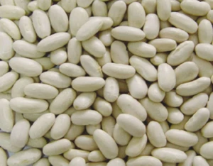 Haricot Bean Ethiopia High Quality