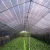 Import hdpe uv sun shade net/agriculture black shade net greenhouse/50% green house shade net price from China