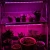 Import High power Led 3ft 4ft light fixture t5 t8 led grow tube light for micro green seeds sprout grow box complete from China
