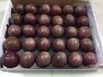 HIGH QUALITY FRESH PASSION FRUIT // PURPLE PASSION FRUIT // FROZEN PULP