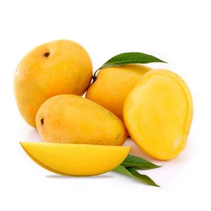 High Quality Fresh Whole Mango with Good Price