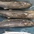 Import High quality frozen spanish mackerel in fish fresh seafood with best exporter from China