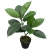 Import High Quality Home Hotel Office Decoration Faux Plastic Green Artificial Ficus Potted Plants from China