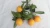 High Quality Navel Fresh Fruit Exporters Orange In Citrus