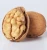 Import High Quality Organic Halves Walnut Kernel without Shell from Belgium