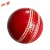 Import High Quality Sports Training Cricket Ball from Pakistan