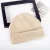 Import High Quality Wholesale Cheap Custom Knitted Beanies/ Knitted Hat/Winter Hat from China