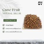 High Quality Wholesale Natural Cane Fruit for Potpourri DIY, Events Decor & Other Decor & Floral Arrangements