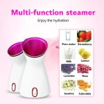 Home Use Face SPA Machine Heating Spray Steamer Ozone Facial Steamer Hair Spa Steamers Machine