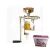 Homemade small soybean sesame cold press oil rosin extracting machine low price