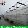 Hot sale complete hydroponics plastic film greenhouse