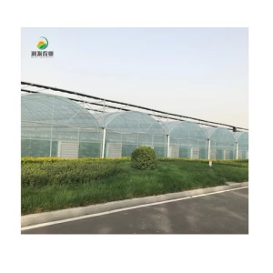 Hot Sell Greenhouse With Hydroponic Growing System Use Air Planting Buckets Multi-span PO Film Greenhouses