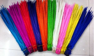 Hot selling colorful dyed pheasant feather for decoration