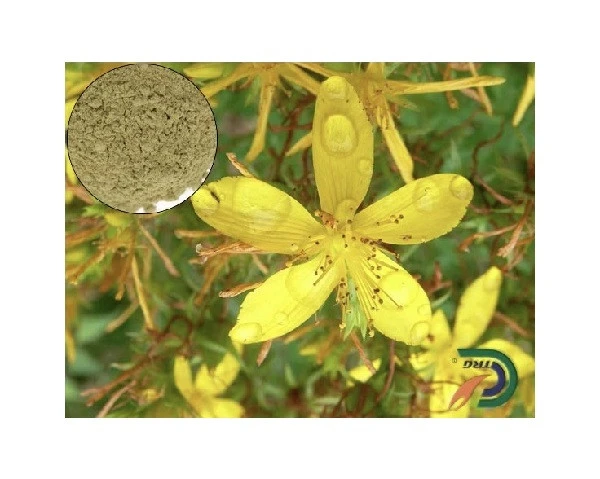 Hot selling psychotropic  st. johns wort extract with CE certificate