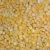 Import IQF Frozen Bulk Sweet Corn from China