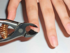 Japanese Nail Clipper Made in Japan