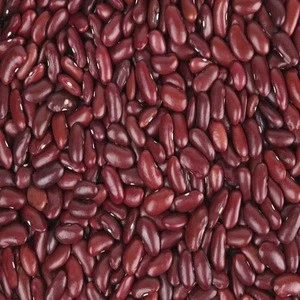 Kidney Red and White Beans/ Light Speckled Red Kidney Beans