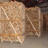 Kiln Dried Firewood in bags Oak fire wood from Europe oak, grab, beech, dry Birch ash oak firewood