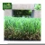 Import Landscape Decoration PE turf Fake Roll Lawn Indoor And Outdoor Green Garden Artificial Grass Carpet from China