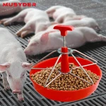 livestock feeding trough in animal feeders