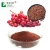 LongZe Supply Grape Skin Extract Resveratrol powder 5% 10% grape seed extract 95% with best quality