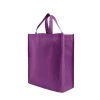 LOW MOQ Cheap Price Promotional Customized Colors Eco Tote Pla Reusable PP Non Woven Bags