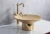 Import Luxury style golden bathroom freestanding hand wash basin with good price from China