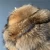 Import Luxury Women Fur Bomber Coat New Fashion Winter Warm Lady Real Raccoon Fur Coats from China