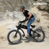 Lvneng Torque Sensor Cafe racer electric bike 52V750W 1000W Retro Electric Bike Fat tyre Mountain electric bicycles