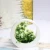Import MACTING Simulated Plant Potted Small Bonsai Plastic Flower Home Decoration Table Decoration Ornaments from China