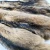Import Manufacturer Directly Supplies High Quality Animal Skin Materials Real Raccoon Fur/Pelt from China