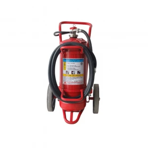 Marine Dry Powder Extinguisher 1kg 2kg ABC Ddry Chemical Powder Fire Extinguishers